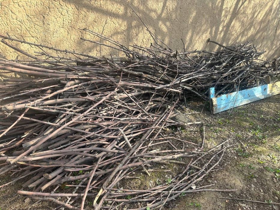 Oʻtin sotiladi darax shox golalayam bor