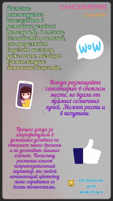 Комнатные растения