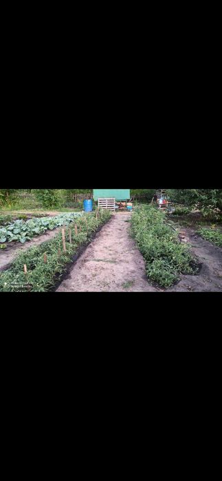 Продам дачный участок