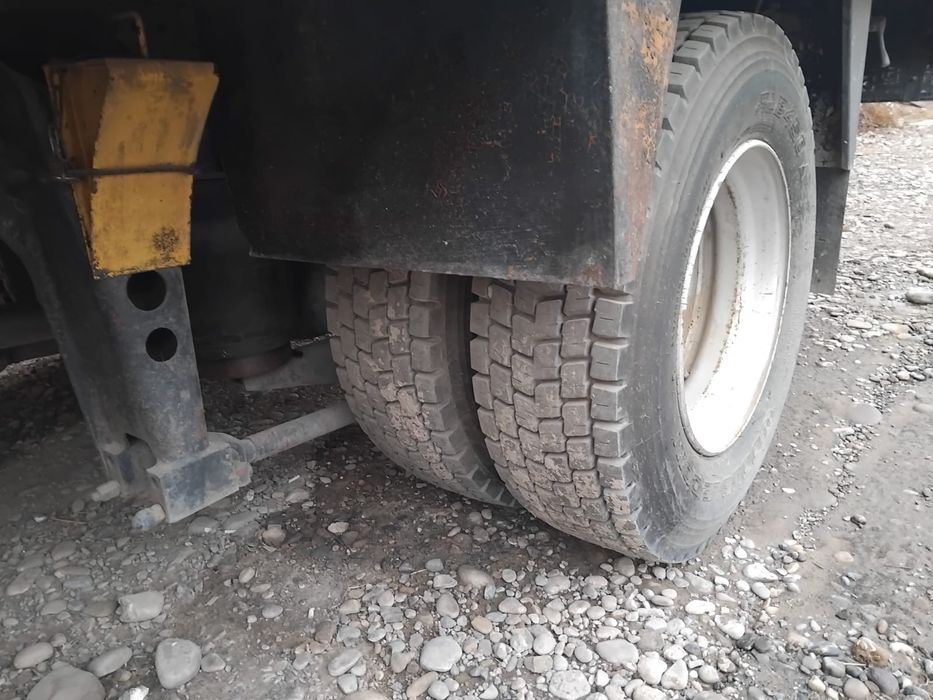 Одиночка даф сатамын