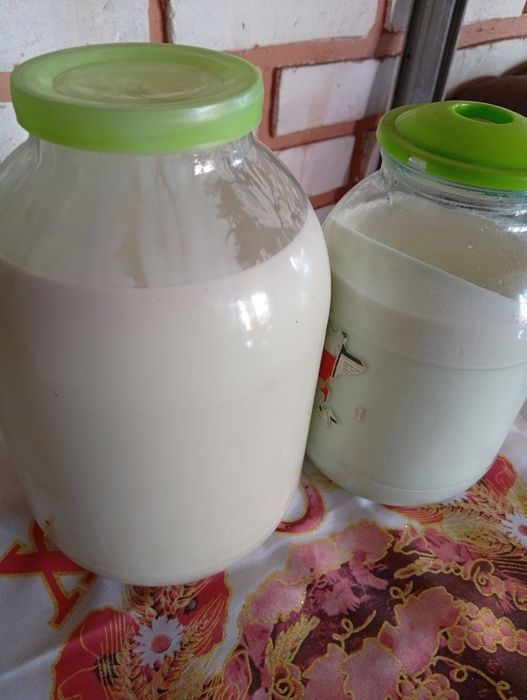 Вкусное полезное козье молоко!