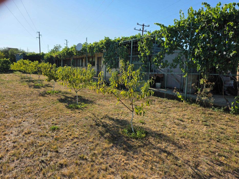 Продава се вила край Червен бряг - 90 кв.м + 1000 кв.м двор