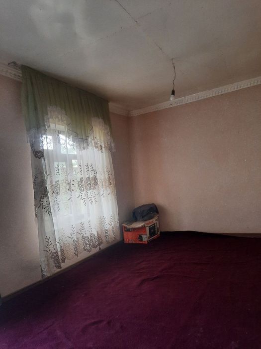 Umidda hovli 2mln