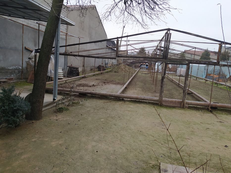 Придам теплица назарбек