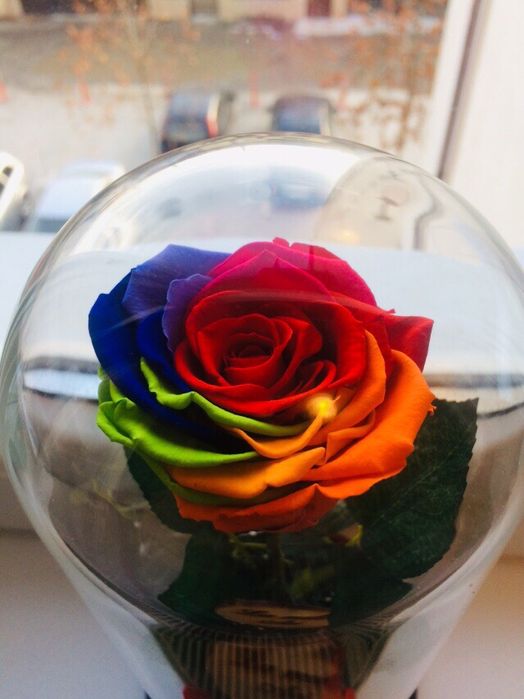 Cadou criogenat ideal pt orice aniversare