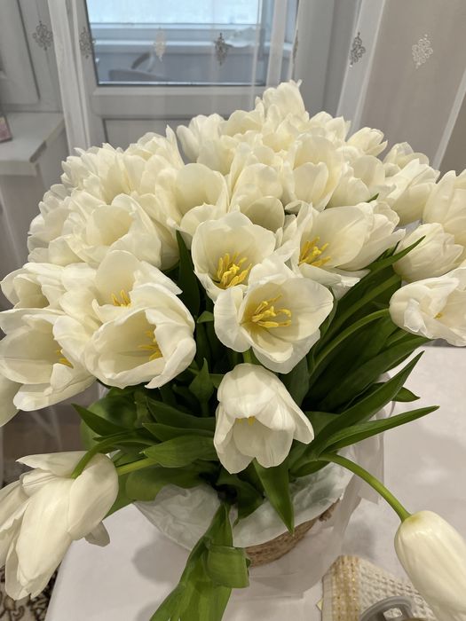 Продам букет белых тюльпан 50 шт.