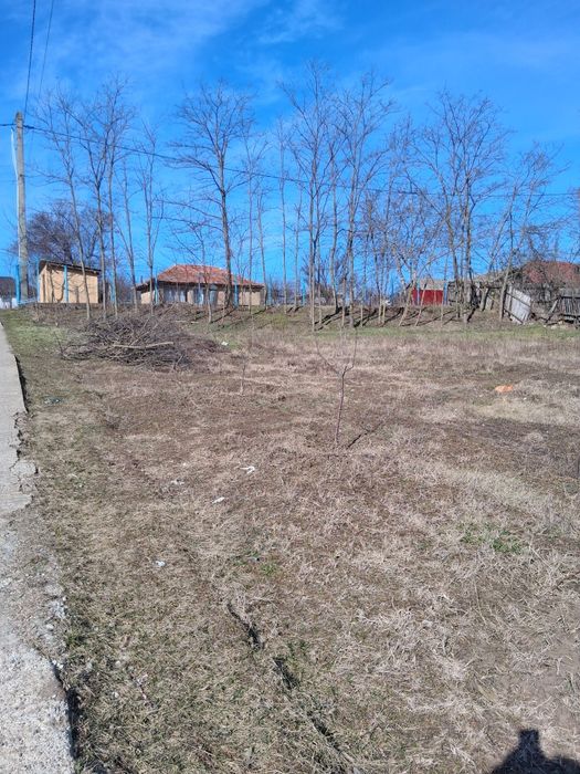 Teren intravilan