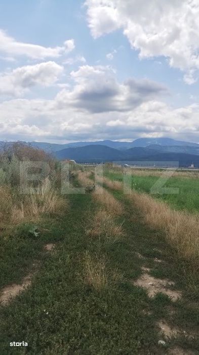 Teren de vanzare, pozitie excelenta, pentru investitie, in Cristian
