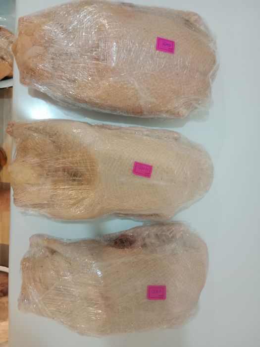 Гуси от 10 000тг