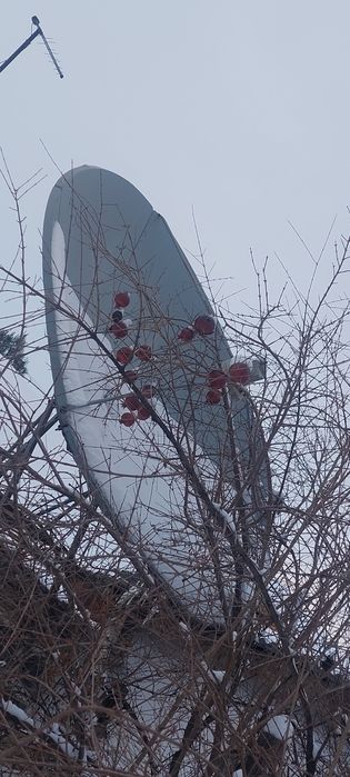 Параболическая тарелка