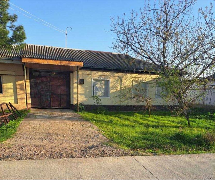 UY SOTILADI 12 sotix