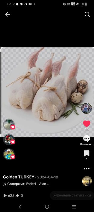 Бөдене балапан суточный сатылады срочно