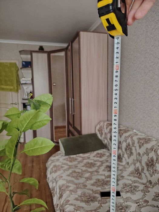 Лимон цветок 1,5 метра