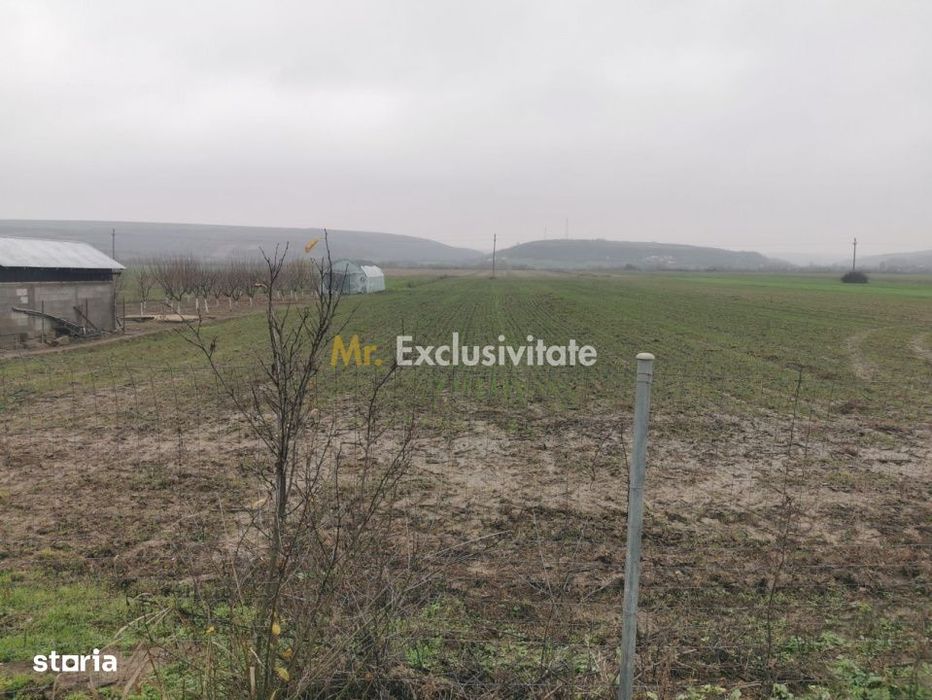 De vanzare casa in Argetoaia cu teren 7.000 mp