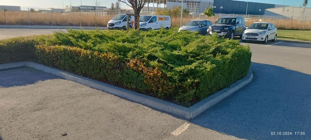 Поддръжка на зелени площи