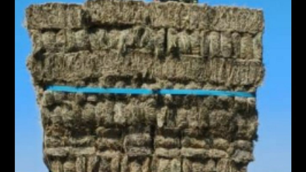 Продаю сено  тюковое 1200 с доставкой