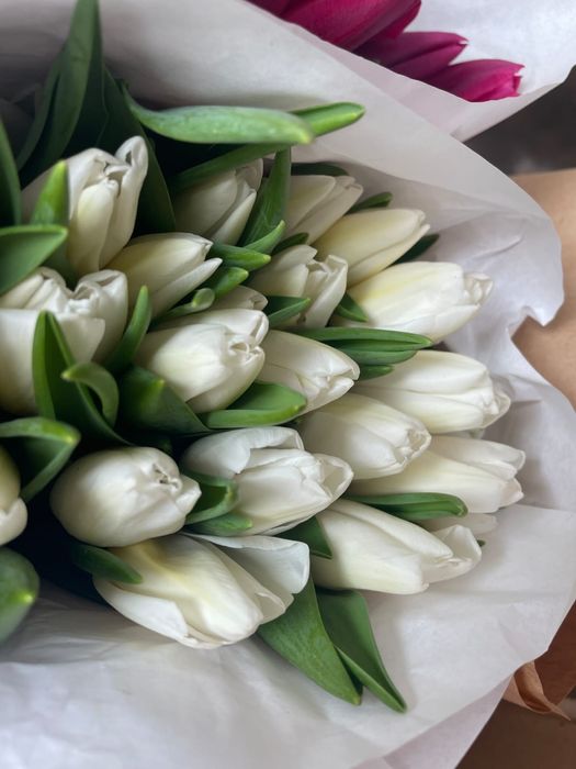 Тюльпаны на 8 марта