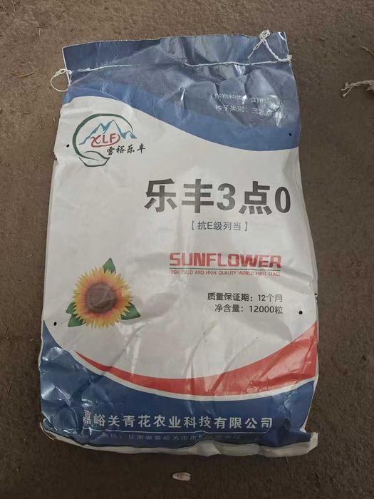 Семена подсолнечника