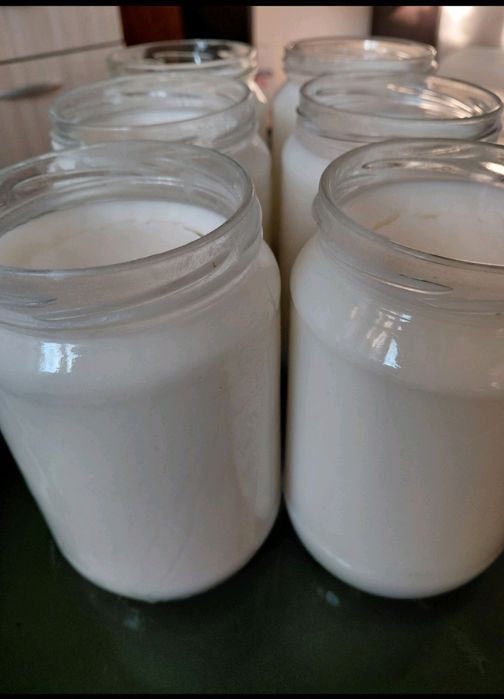 Домашна свинска мас