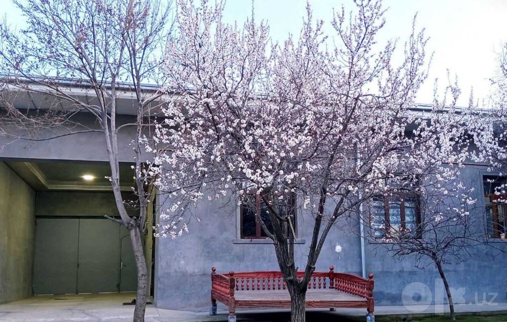 Toshkent shahar,  Olmazor t.  Yuqori Beshqoʼrgʼonda xovli. 6 sotix