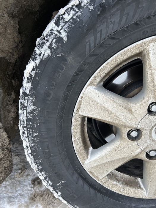 Шины зимние, шипованные