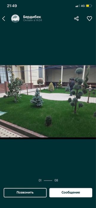 Газон и автополив