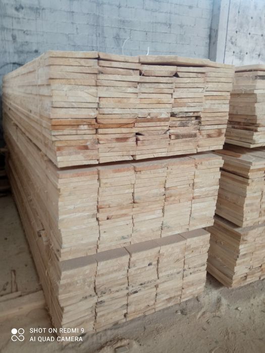 1000mc oferim transport