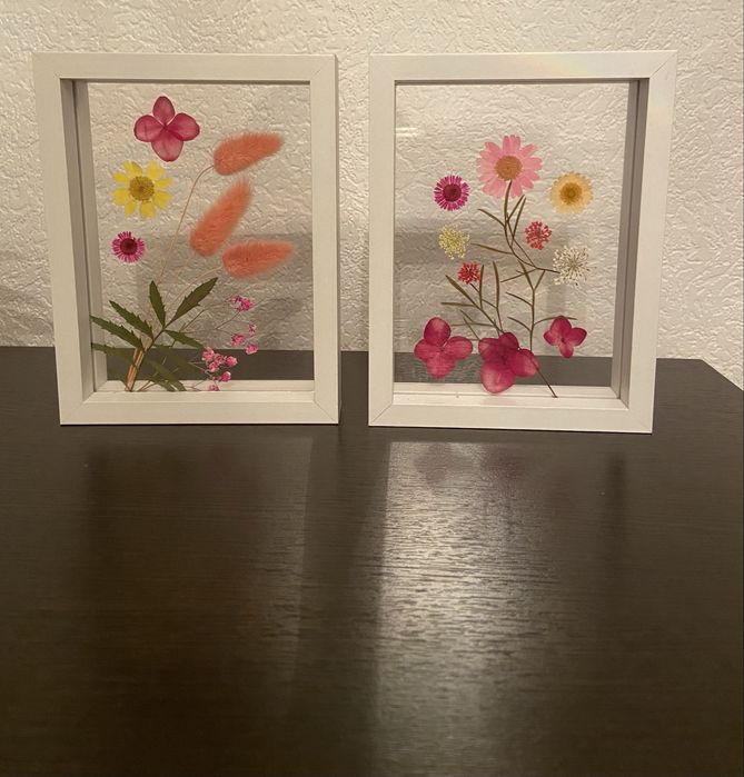 Гербарий в деревянной рамке,под стеклом