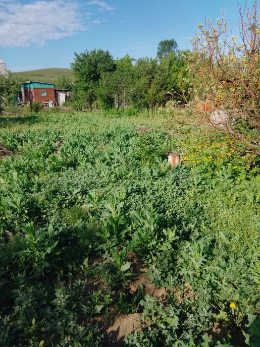 Продам земельный участок.