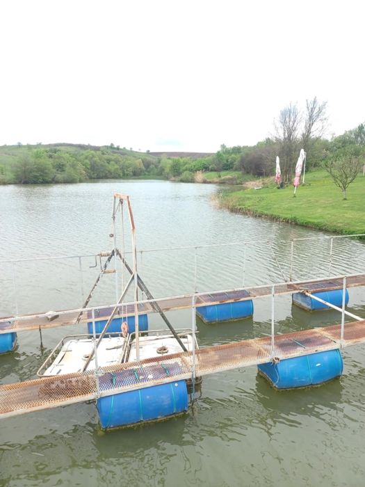 Преместяем пунтон