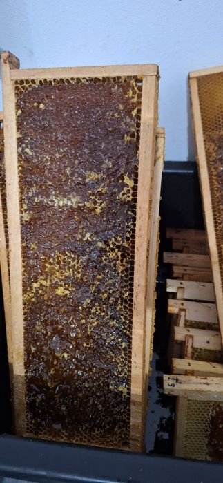 Vând miere poliflora 200 kg