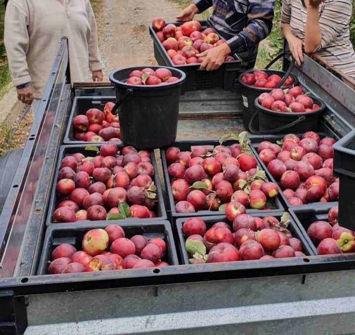Крестьянское хозяйство 2.2 га