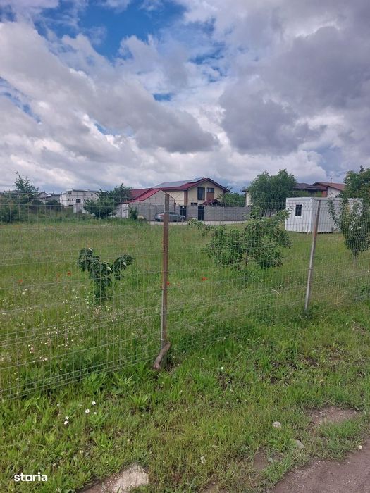 Prelungirea Ghencea - Safirului, Stradal