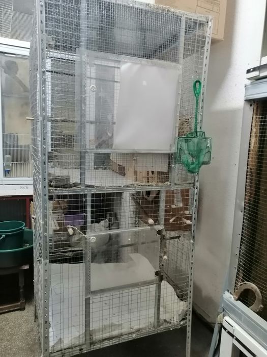 Cusca Voliera Colivie Mare  Dubla  Papagali,