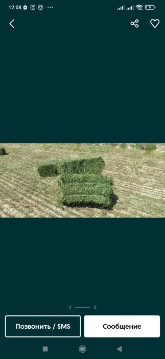 Beda va Somon (beda 55000 Somon 40000)