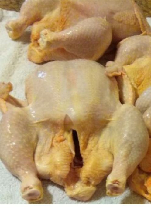 Куры, домашние.доставка бесплатно