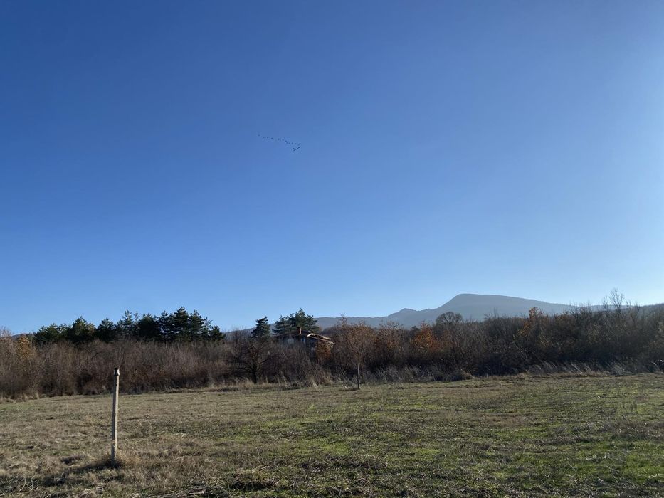 Продава се Парцел в с. Драгойново, Област Пловдив - 1000 кв.м за 9 €/кв.м - Снимка #6