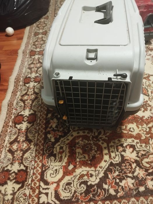 Vând cușcă pisica mare