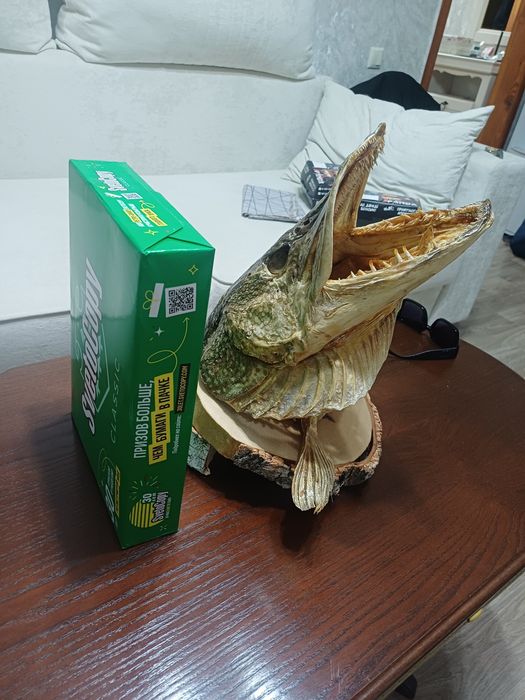 Чучело для бани и дома щука, сувенир
