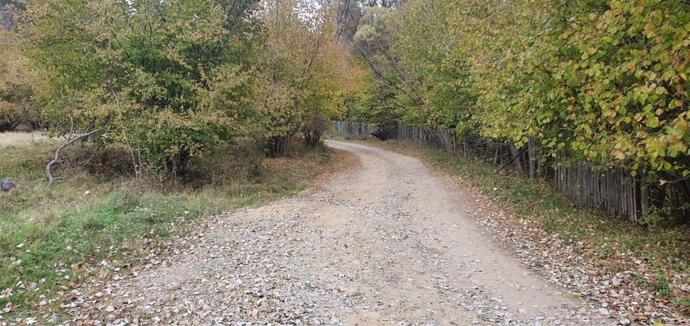 5 hectare / 4 loturi - Frasinet, Jud. Buzau
