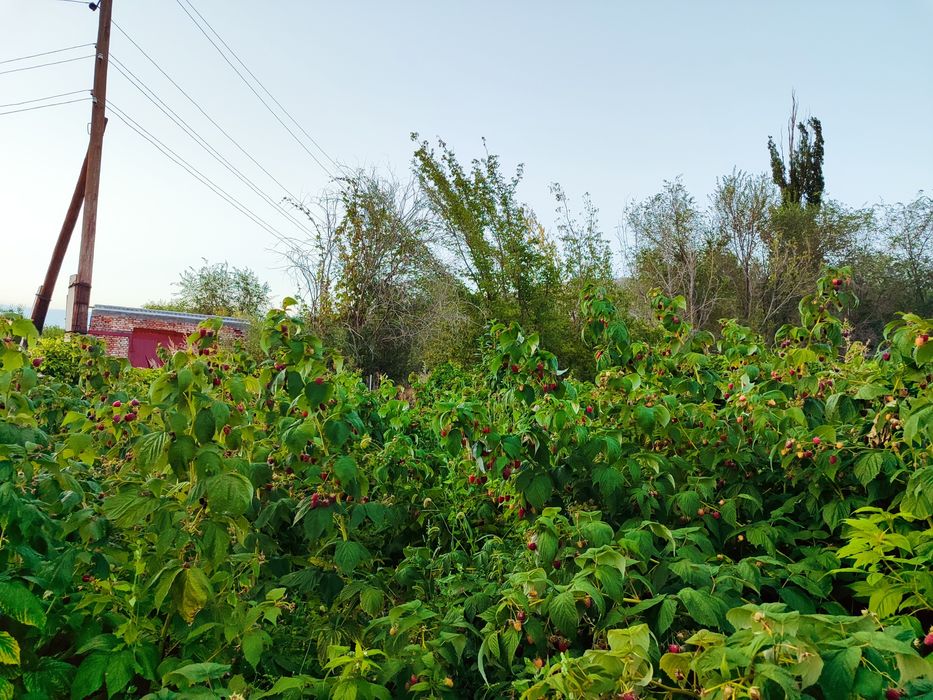 Продаю дом Текели