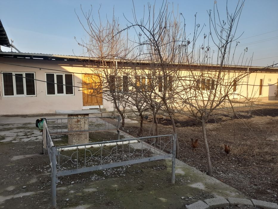 8 сотих, 9 хонали хонадон