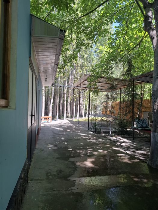 Dam olish uchun oilaviy, kollektiv dacha
