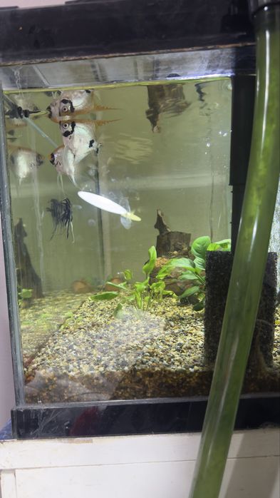 Продам аквариум на 120 литров