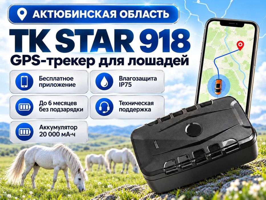 GPS трекер для лошадей. Жпс жылқыға