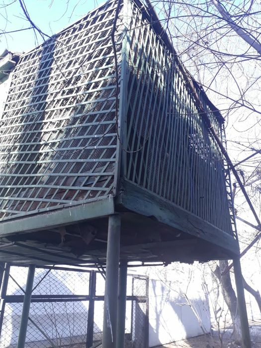 Голубятня (самовывоз)