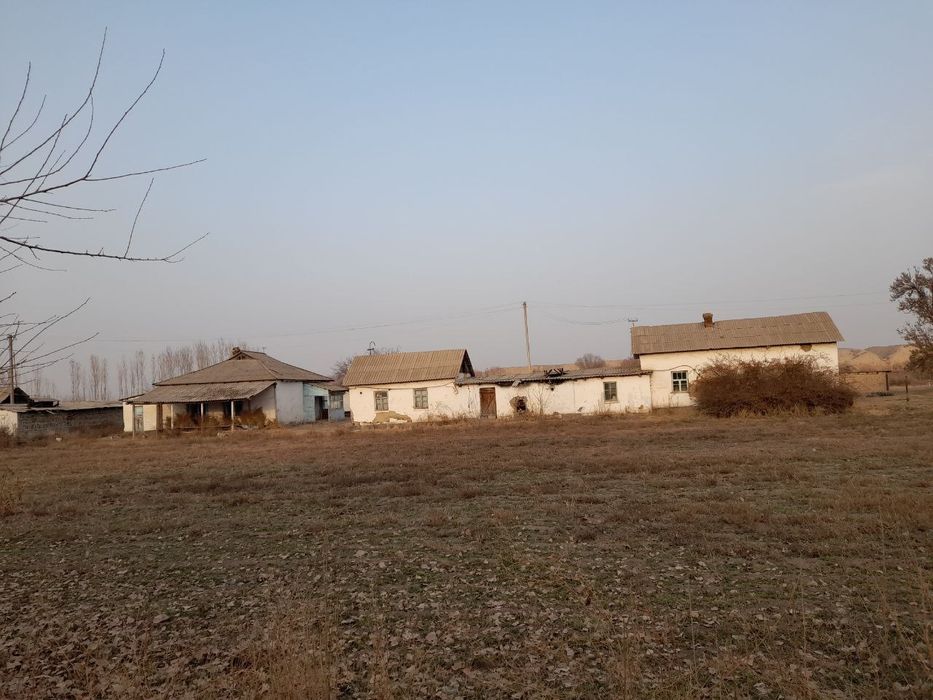 Sirdaryo viloyati Sirdaryo tumanida xovli sotiladi daryo boyida