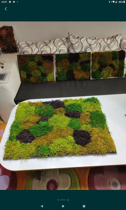 Фото картини и изделия стабилизира мъх