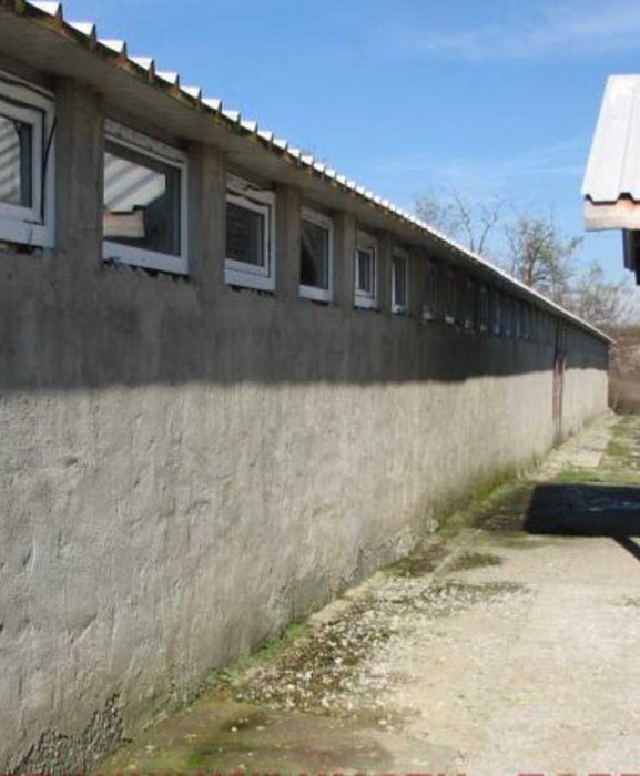 Продава се Промишлена сграда в с. Паскалево, Област Добрич - 3060 кв.м за 50 €/кв.м - Снимка #4