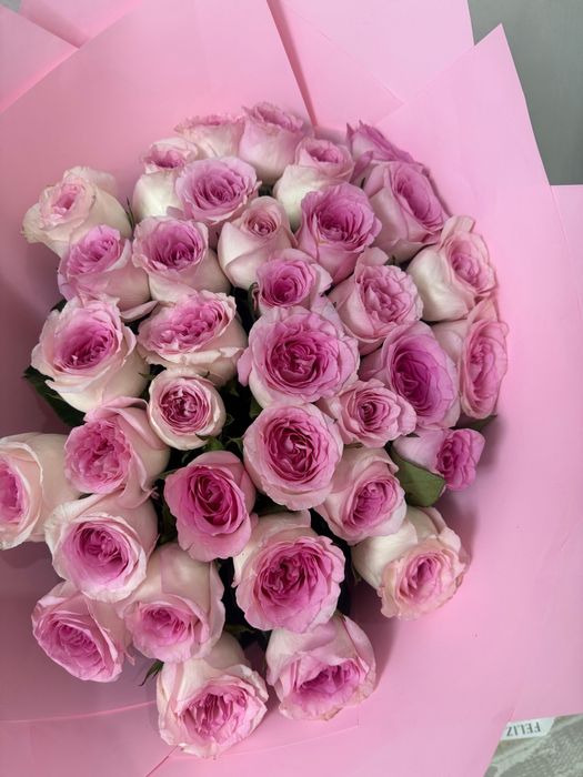 Разные виды цветов